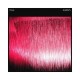 TIGA-ALWAYS (2-12")