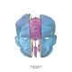 TOM MISCH-REVERIE (10")