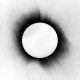 ARCHITECTS-ALL OUR GODS HAVE.. (CD)