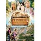 FILME-TIMBER THE TREASURE DOG (DVD)