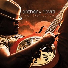 ANTHONY DAVID-POWERFUL NOW (CD)