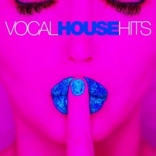 V/A-VOCAL HOUSE HITS (2CD)