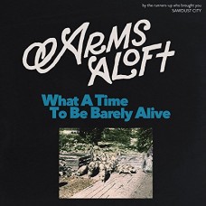 ARMS ALOFT-WHAT A TIME TO BE.. (CD)