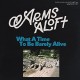 ARMS ALOFT-WHAT A TIME TO BE.. (CD)