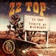 ZZ TOP-LIVE - GREATEST HITS (CD)