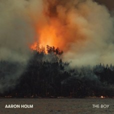 AARON HOLM-BOY -LTD- (LP)