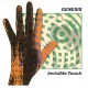 GENESIS-INVISIBLE TOUCH -REISSUE- (LP)
