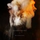 IAMX-EVERYTHING IS BURNING (2CD)
