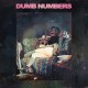 DUMB NUMBERS-II (LP)