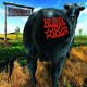 BLINK 182-DUDE RANCH -LTD- (LP)