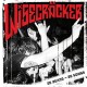 WISECRAECKER-20 YEARS 20 SONGS (CD)