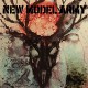 NEW MODEL ARMY-WINTER (7")