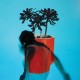 LOCAL NATIVES-SUNLIT YOUTH (LP)