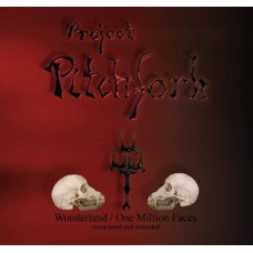 PROJECT PITCHFORK-WONDERLAND/ONE MILLION FACES (CD)