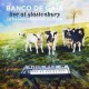 BANCO DE GAIA-LIVE AT GLASTONBURY.. (CD)