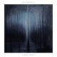 ILYA BESHEVLI-NIGHT FOREST (CD)