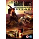 FILME-RABID DOGS (DVD)