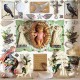 JACKIE OATES/MEGAN HENWOOD-WINGS -EP- (CD)