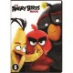 ANIMAÇÃO-ANGRY BIRDS MOVIE (DVD)