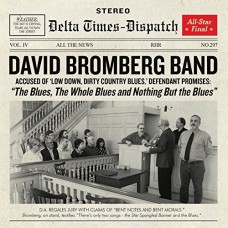 DAVID BROMBERG-BLUES, WHOLE BLUES AND.. (CD)
