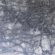 SNEEZE-ROT -EP- (LP)