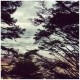 WL-LIGHTYEARS -LTD- (LP)