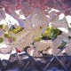 DANGERS-BEND IN THE BREAK (CD)