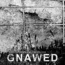GNAWED-PESTILENCE BEHOLDEN (CD)