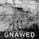 GNAWED-PESTILENCE BEHOLDEN (CD)