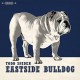 TODD SNIDER-EASTSIDE BULLDOG (CD)