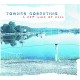 TOWNES COSENTINO-A NEW KIND OF HELL (7")