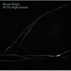 ROMAN FLUGEL-ALL THE RIGHT NOISES (CD)