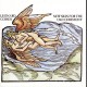 LEONARD COHEN-NEW SKIN FOR OLD CEREMONY (CD)
