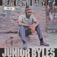 JUNIOR BYLES-BEAT DOWN BABYLON (LP)