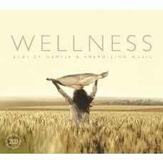 V/A-WELLNESS (2CD)