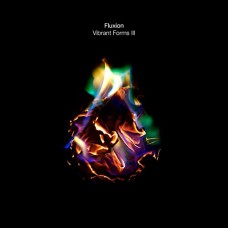FLUXION-VIBRANT FORMS III (CD)