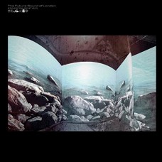FUTURE SOUND OF LONDON-ENVIRONMENTS 6.5 (CD)