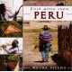 WAYNA PICCHI-FOLK MUSIC FROM PERU (CD)