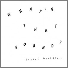 DANIEL WOOLHOUSE-WHATS THAT SOUND (2LP)