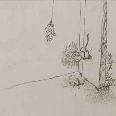 MARCIN CIUPIDRO-TALKING TREE (CD)