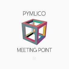 PYMLICO-MEETING POINT (CD)