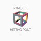 PYMLICO-MEETING POINT (CD)