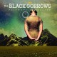 BLACK SORROWS-FAITHFUL SATELLITE (2CD)