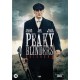 SÉRIES TV-PEAKY BLINDERS SEASON 3 (2DVD)