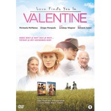 FILME-LOVE FINDS YOU IN.. (DVD)