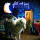 FALL OUT BOY-INFINITY ON HIGH (CD)