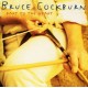 BRUCE COCKBURN-DART TO THE HEART (CD)