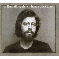 BRUCE COCKBURN-IN THE FALLING DARK -REMA (CD)