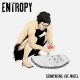 ENTROPY-DEINVENTING THE WHEEL (CD)