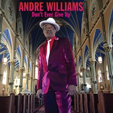 ANDRE WILLIAMS-DON'T EVER GIVE UP (CD)